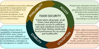 Food Security and Access